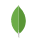 technology.name logo